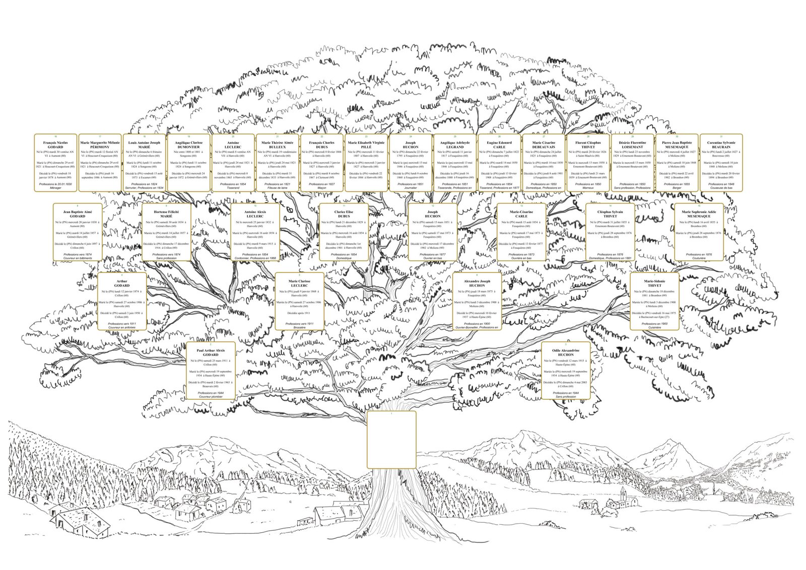Arbre généalogique ascendant crayonné campagne 5 générations