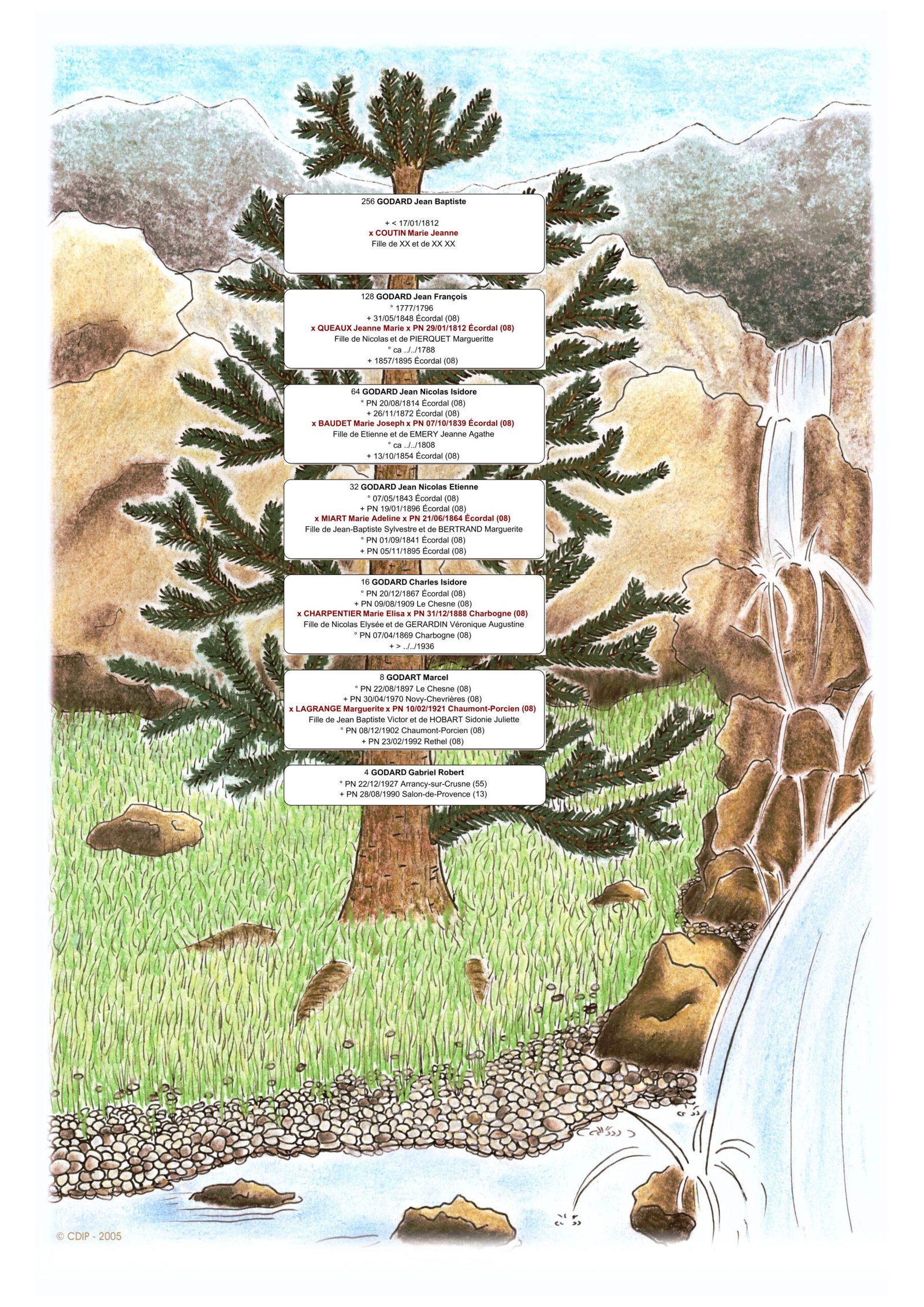 Arbre ascendant 10 générations Sapin